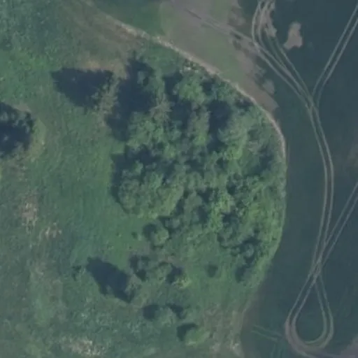 Vaizdas iš viršaus: Ąžuolo g. 19, Alionys II