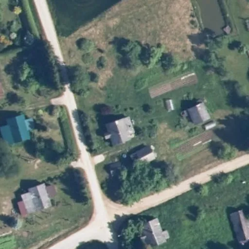 Vaizdas iš viršaus: Liepų g. 29, Bagaslaviškis