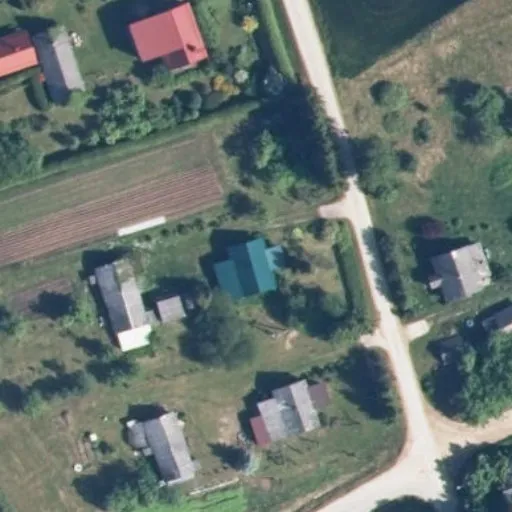 Vaizdas iš viršaus: Liepų g. 30, Bagaslaviškis