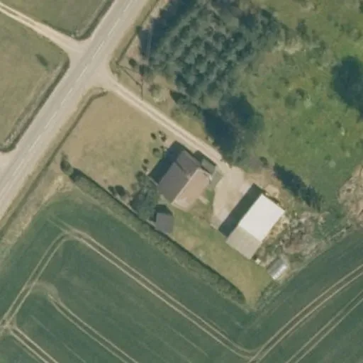 Vaizdas iš viršaus: Draugystės g. 15, Beržynė