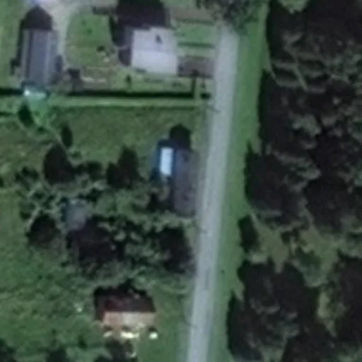 Vaizdas iš viršaus: Parko g. 1, Smalininkai