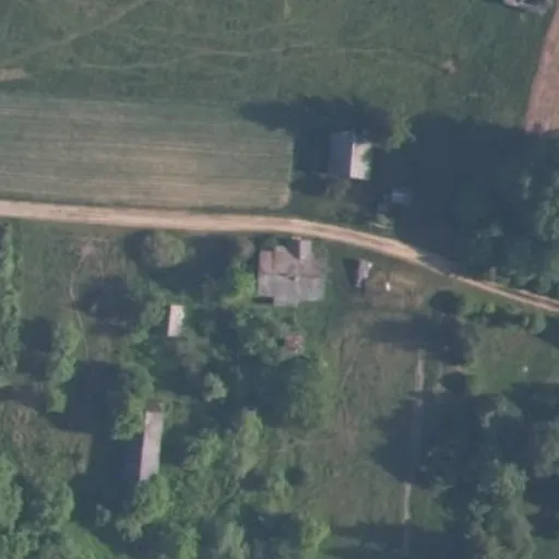 Vaizdas iš viršaus: Pušyno g. 4, Graužėnai