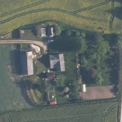 Vaizdas iš viršaus: Eržvilko g. 24, Dainiai