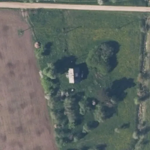 Vaizdas iš viršaus: Gudžiūnų g. 24, Birbiliškė