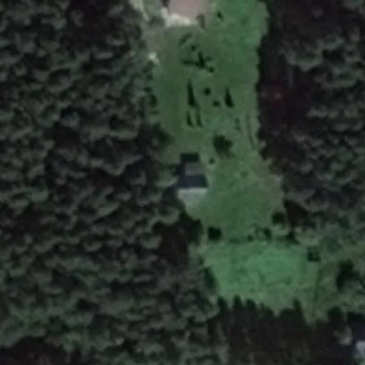 Vaizdas iš viršaus: Palėkių g. 4, Palėkiai